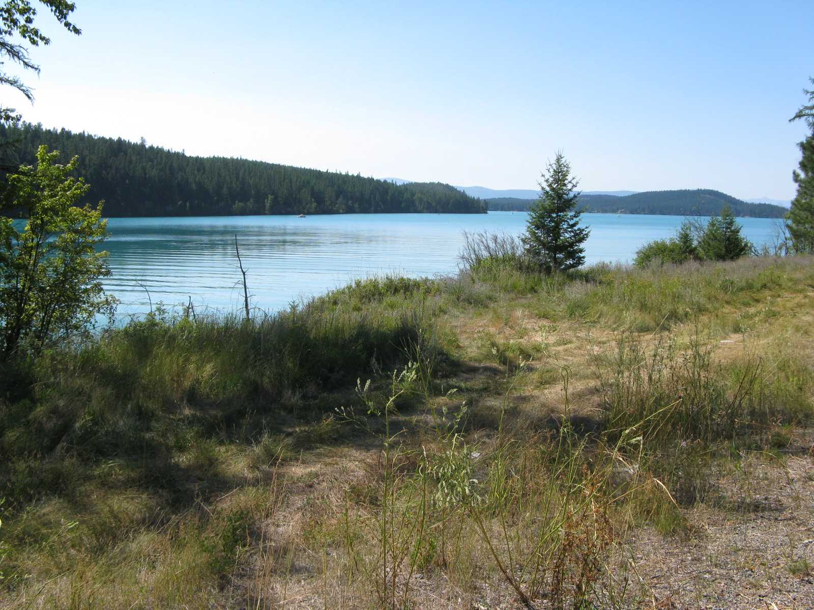 DickeyLake, Looking Northwest